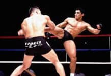 Shootfighting