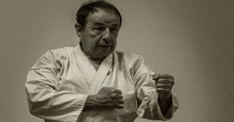 What Is A Sensei In Karate