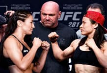 Who Owns The UFC