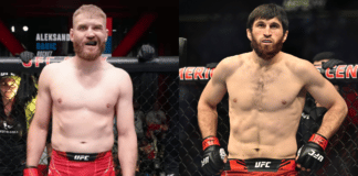 Jan Blachowicz