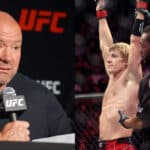 Dana White