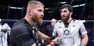 UFC 282