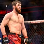 Magomed Ankalaev