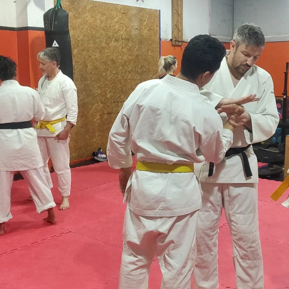 Japanese Jiu Jitsu - Ancient Japanese Jujutsu JJJ 4 Japanese Jiu Jitsu