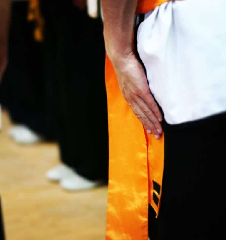 Kung Fu Belt Order Ranking System Explained