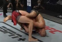 Best BJJ fighters