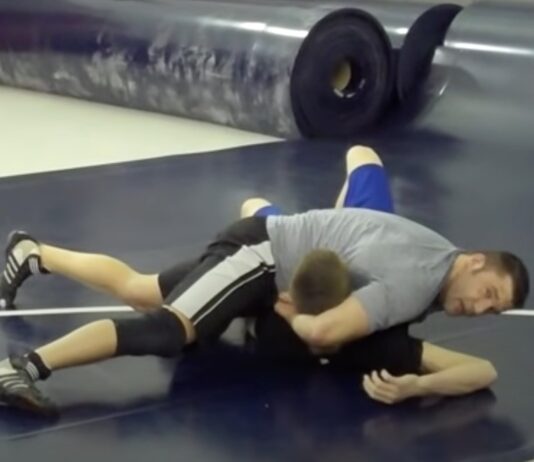 Half Nelson Hold