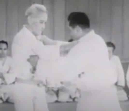 Japanese Jiu Jitsu