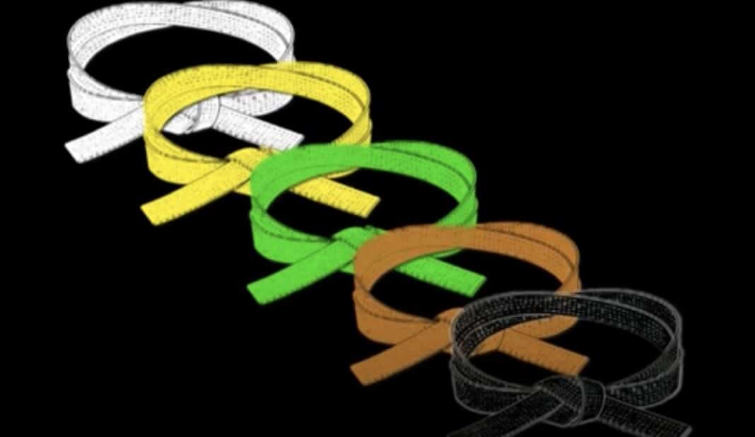 Kung Fu Belt Order Ranking System Explained