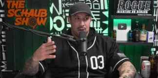 Brendan Schaub, UFC, Bellator
