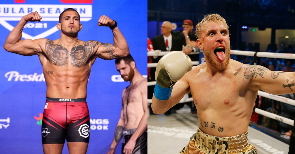 Anthony Pettis confident he beats Jake Paul in a boxing match: "I’m looking for the knockout." 1 Anthony Pettis