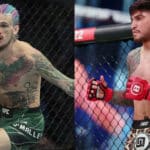 dillon danis