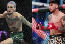 dillon danis