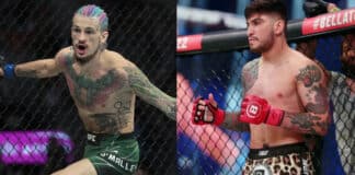 dillon danis