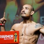 Jose Aldo boxing