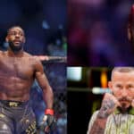 Aljamain Sterling, Sean O'Malley, Chito Vera