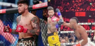 dillon danis