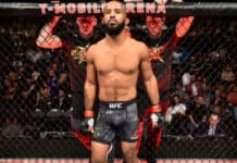 Demetrious Johnson UFC ONE Championship