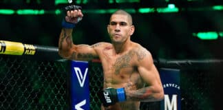 Alex Pereira, Israel Adesanya, Robert Whittaker