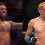 Michael Johnson UFC Tony Ferguson