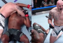 Serghei Spivac, Derrick Lewis