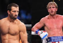 Luke Rockhold, Logan Paul
