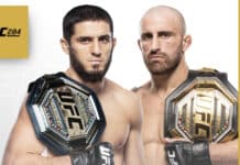 dana white