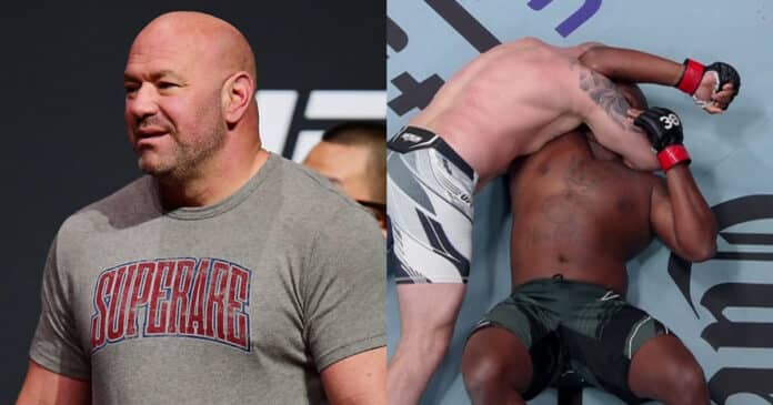 Dana White