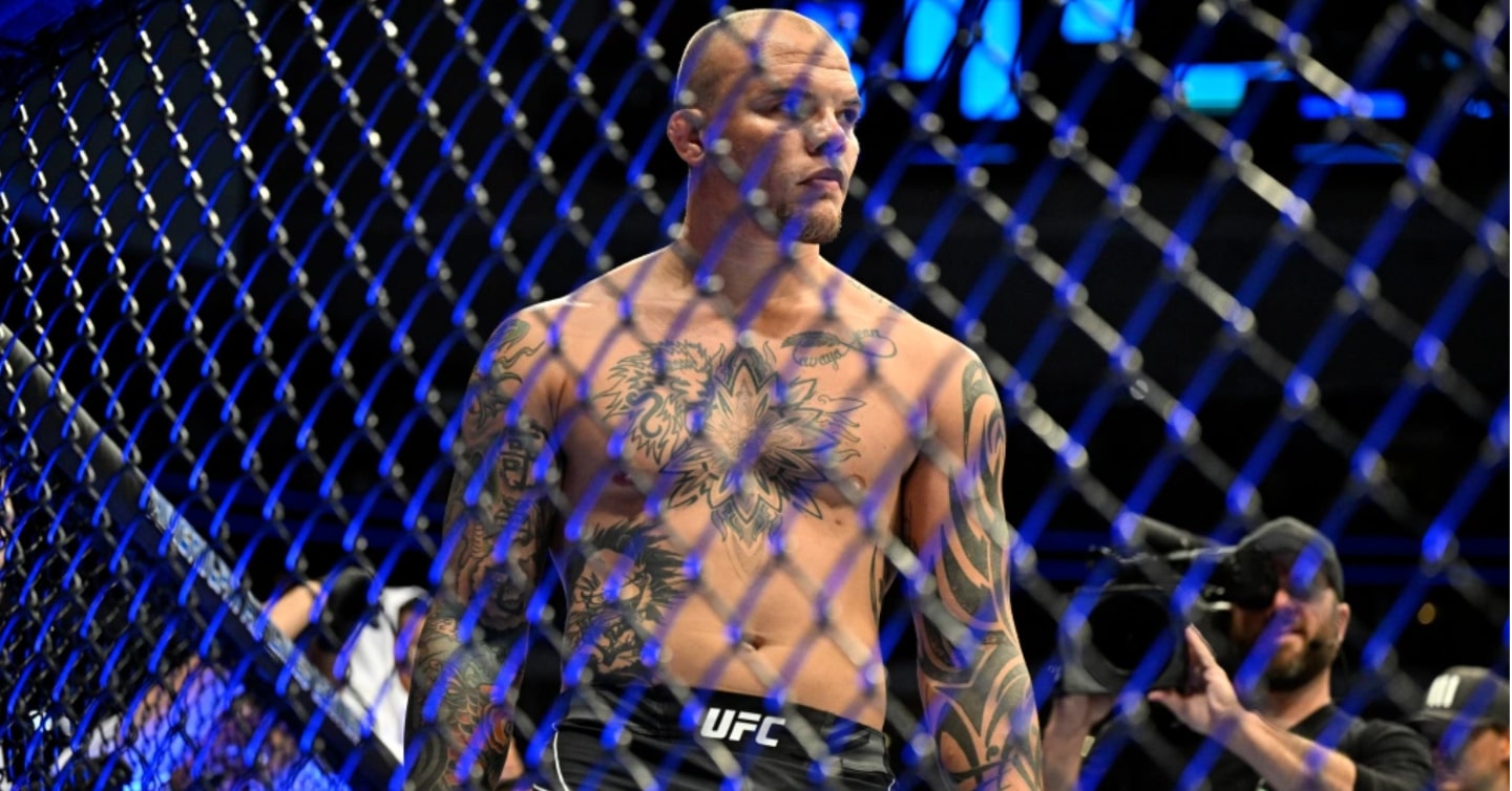 Anthony Smith UFC Weight Classes