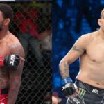 Michael Johnson UFC Tony Ferguson