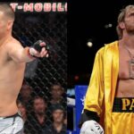 Logan Paul Boxing UFC Nate Diaz
