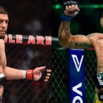 Nick Diaz UFC Alex Pereira Boxing