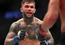 cody garbrandt