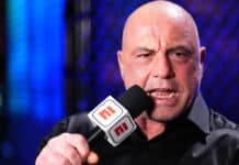Joe Rogan UFC Comedy Club Mushrooms