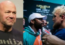 Dana White