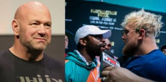 Dana White