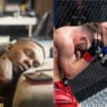 Israel Adesanya