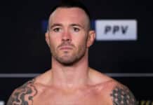 Colby Covington in line for UFC title shot next Dana White