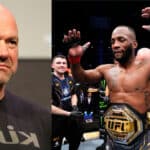 Dana White
