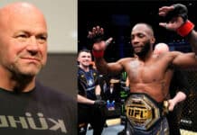 Dana White