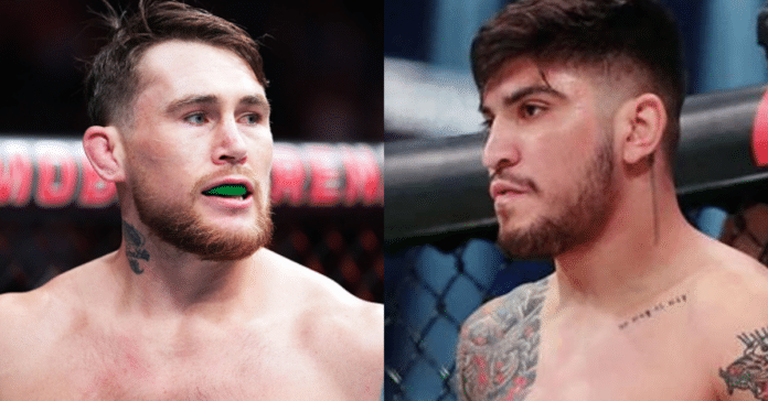Darren Till responds to Dillon Danis' attempt at provocation: