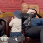 Mike Tyson Hasbulla