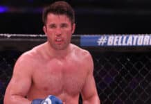 Chael Sonnen brain trauma Fedor Emelianenko I was hit with a missile UFC