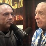 Joe Rogan Ric Flair