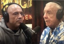 Joe Rogan Ric Flair