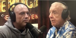 Joe Rogan Ric Flair