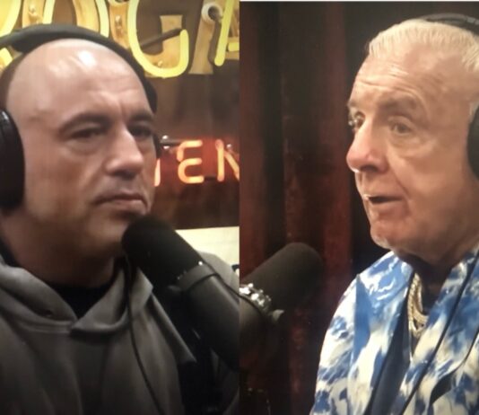 Joe Rogan Ric Flair