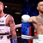 Jake Paul offers to fight Conor McGregor in boxing match I'm a better boxer