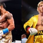 Vitor Belfort calls for Logan Paul boxing match UFC I promise I won't hurt you