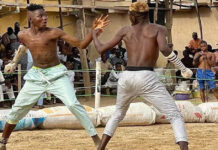 African Martial Arts